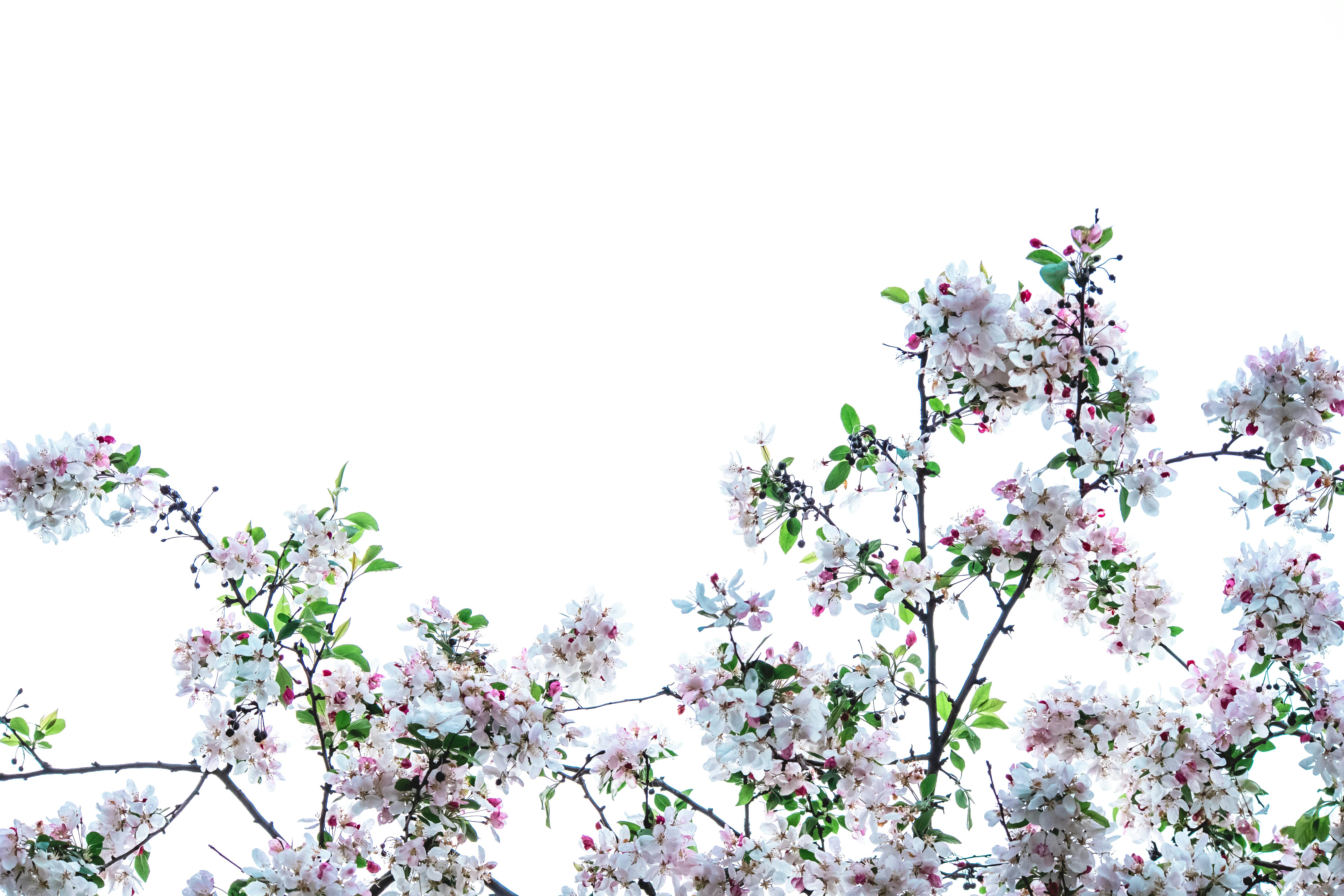 Жінка насолоджується сонячним світлом навесні